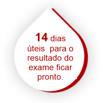 14 DIAS